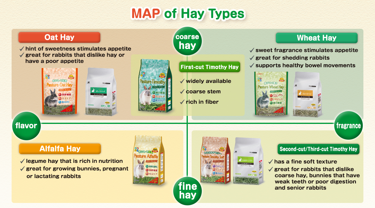 hipet_online_slide_bokusou_250627