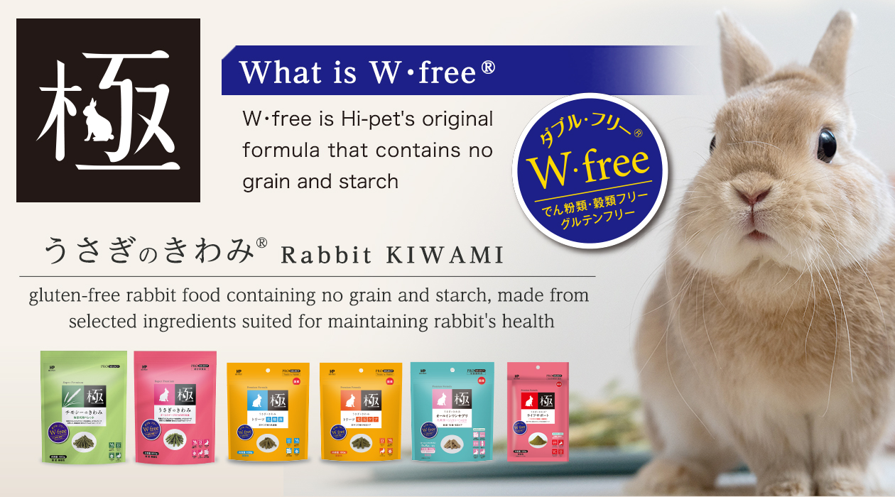 hipet_online_slide_kiwami_250627