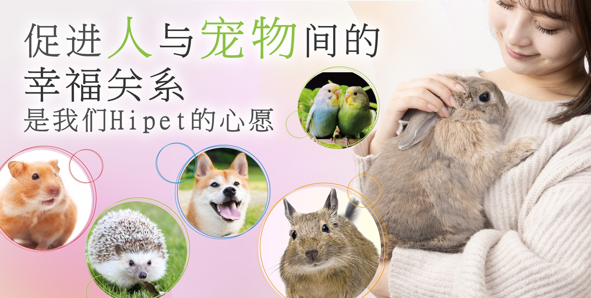 (中国語版)TOPバナー
