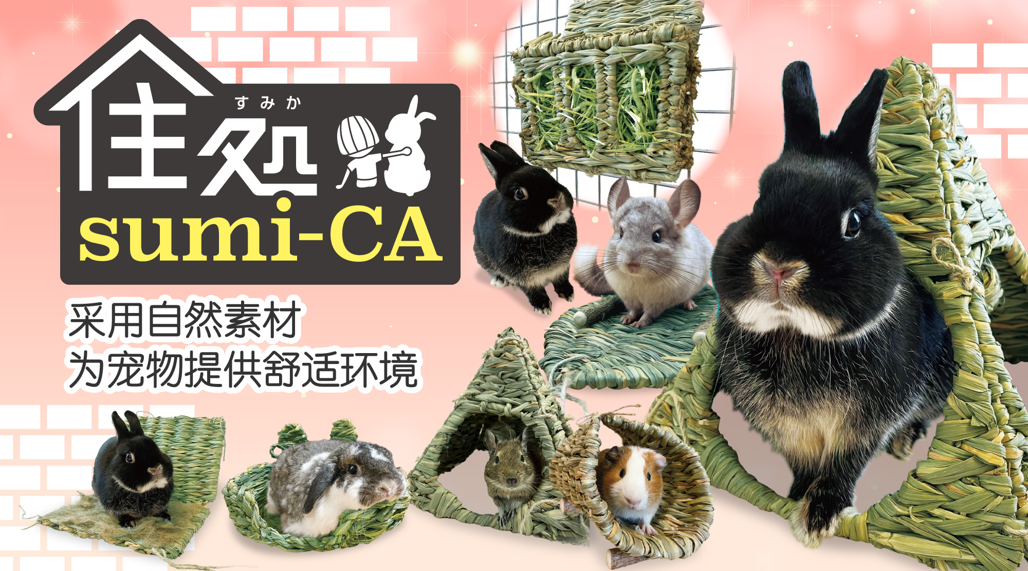 (中国語版)住処バナー